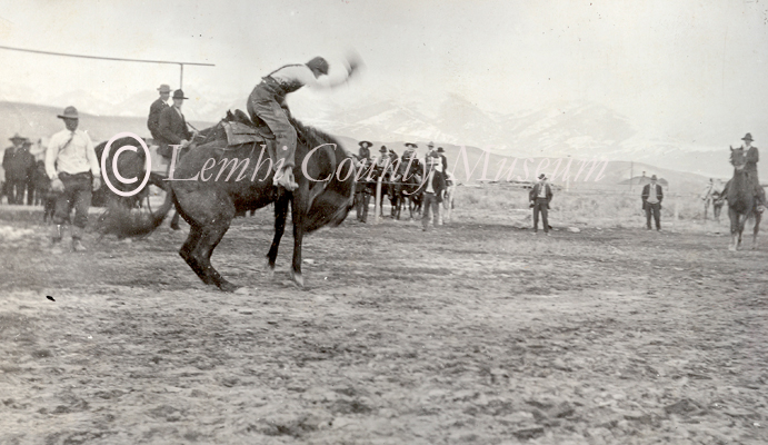 rodeo-photo,-bolton-collection